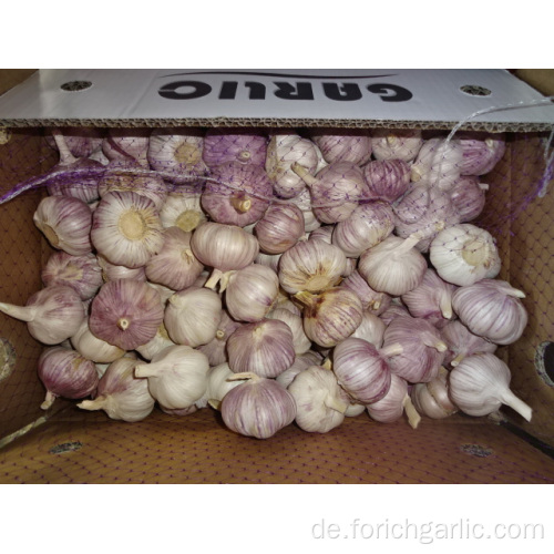 Hybrider normaler weißer Knoblauch neue Ernte